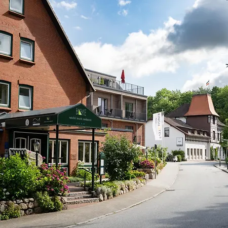 Birke, Ringhotel Hotel Kiel