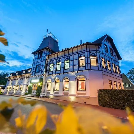 فندق Birke, Ringhotel 4*